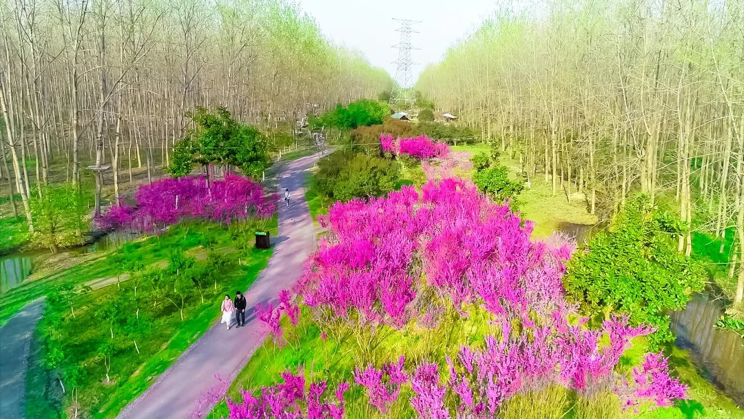 农业行与行签马鞍马鞍面合中信中国作协山分山分署全银行银行议发展