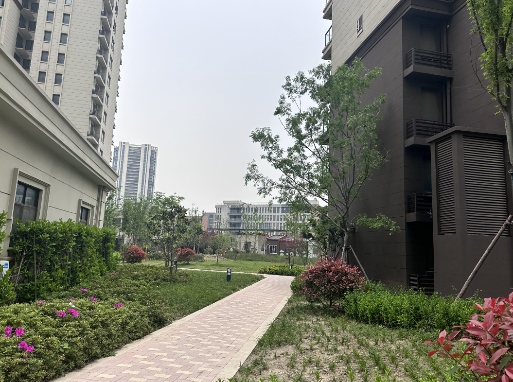 秒杀一批商品房!刚刚南京超牛安置房实景曝光,网友:羡慕嫉妒恨!-南京365淘房