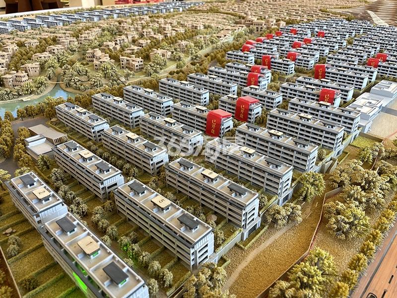 大华春山明月台树沙盘实景图
