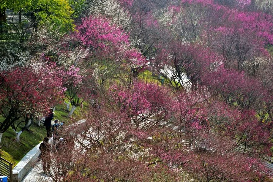 工商银行马鞍山和县支行开展支付结算宣传活动