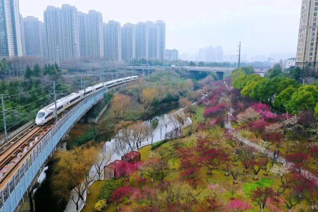 化合肥文统战感受科技力量从创新