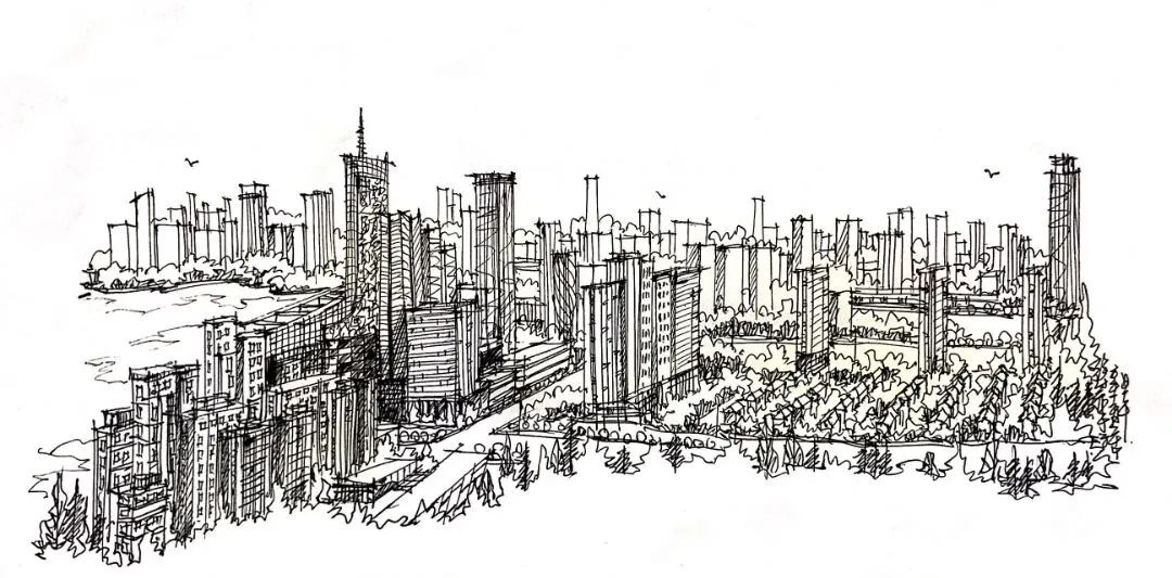 政务区鸟瞰建筑群.jpg