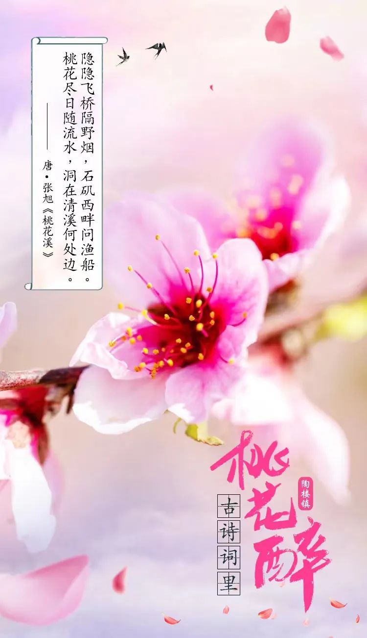 厦门协征案线集提市政索