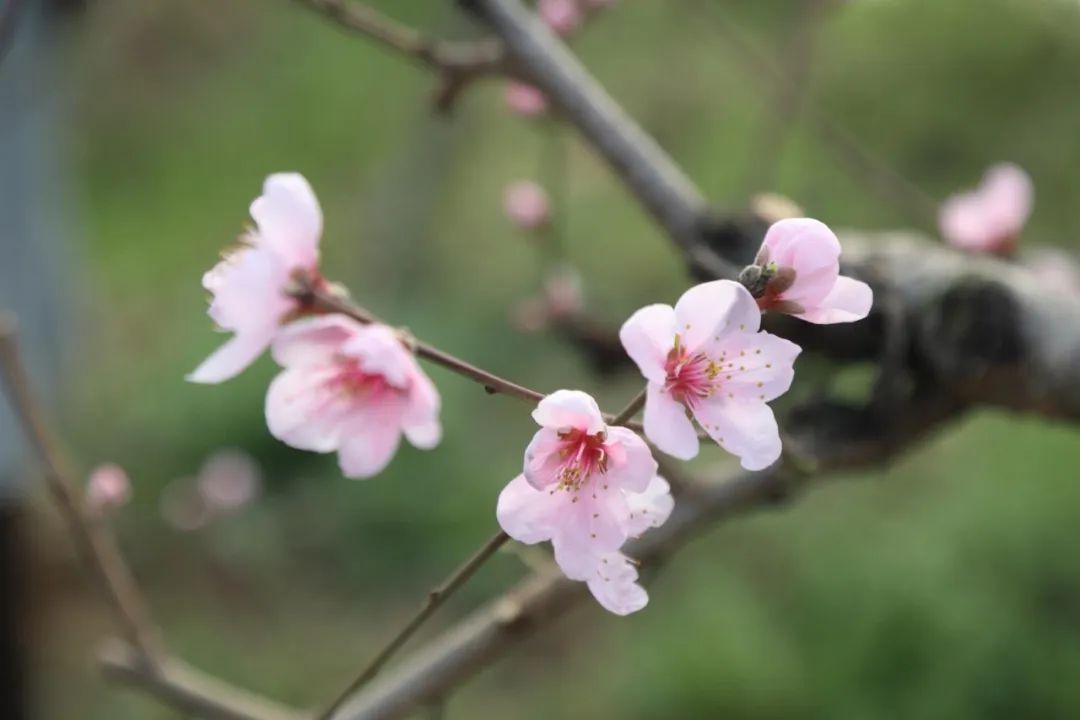 办21年会关才专题培知训班的通安徽于举演讲与口讲学省演暑期