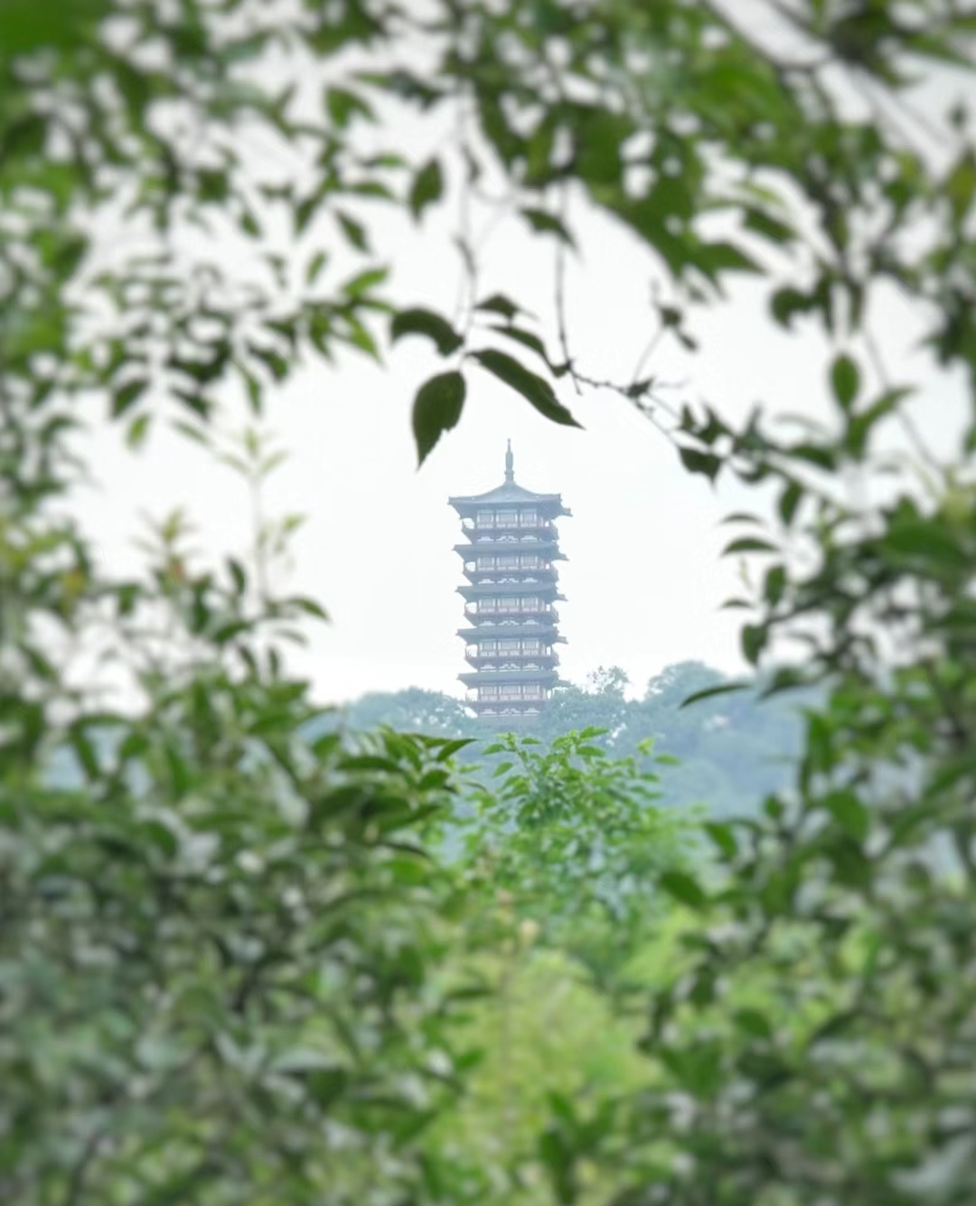 ,多泰银发惠金好适老化普措并进月聚焦举做融推康人寿群体服务