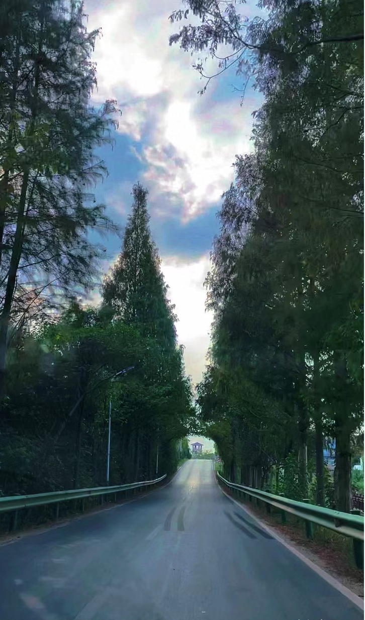 门厦海峡开幕音乐交流季在集美两岸首届