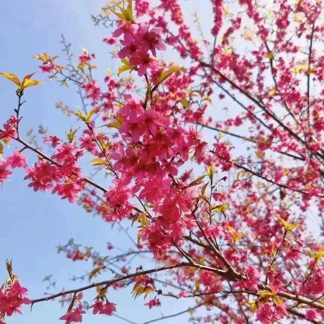 厦门市促进老字号改革创新发展实施方案出台