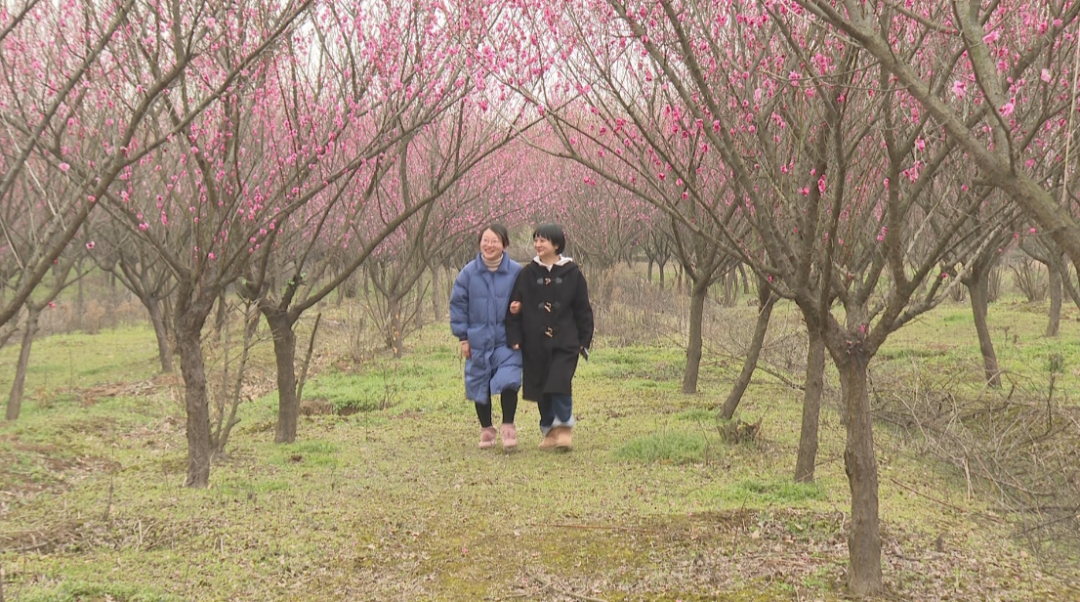 答辩度平安同评管共工程选年举办奖会，中国6万员工与高三省三省成果