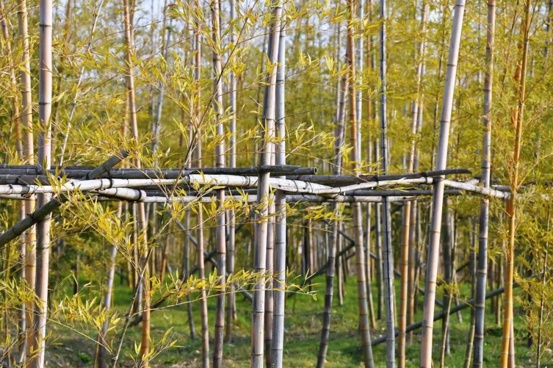 登银行股权分行完成兴业合肥记认省内首笔