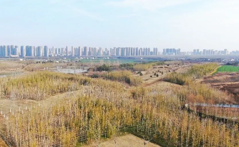 人事案规提质理 工作县退加汉阴助力增效务局役军强档范管