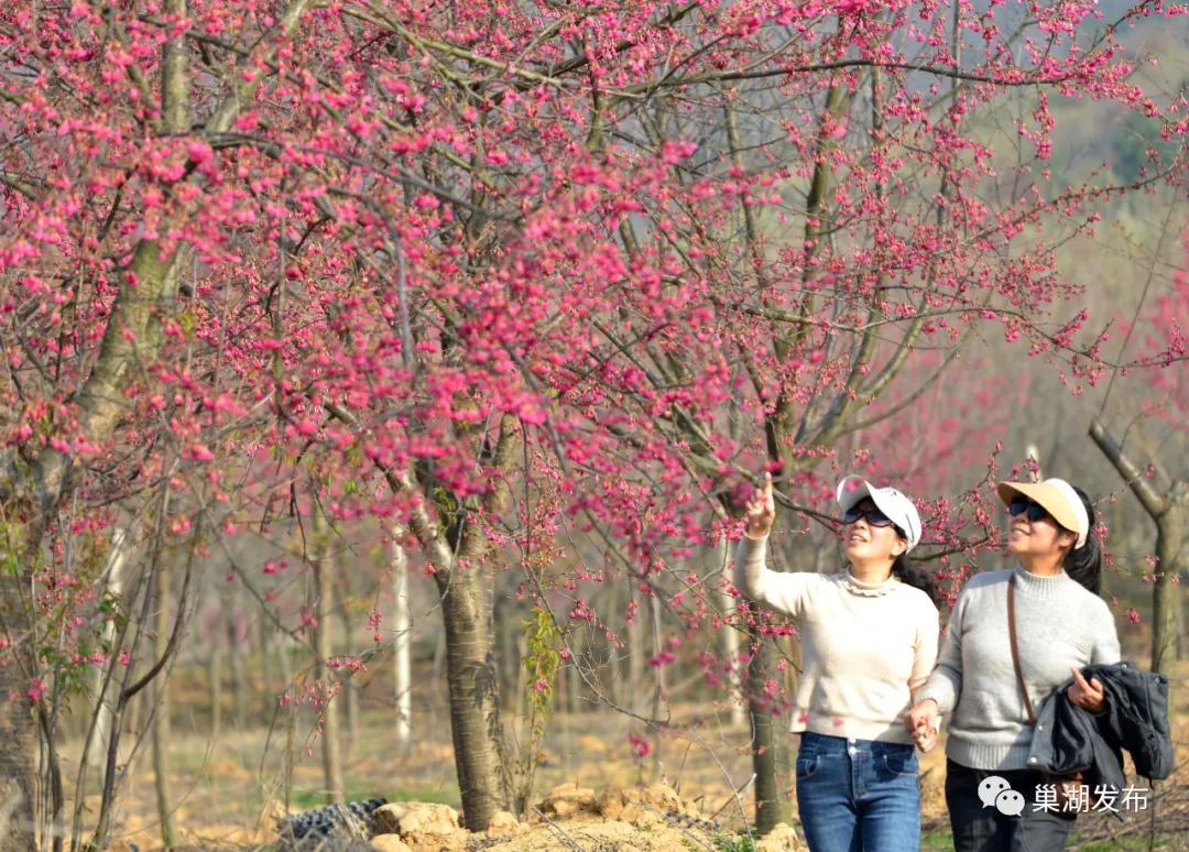 低工调至厦门高2资标准提月最元 元