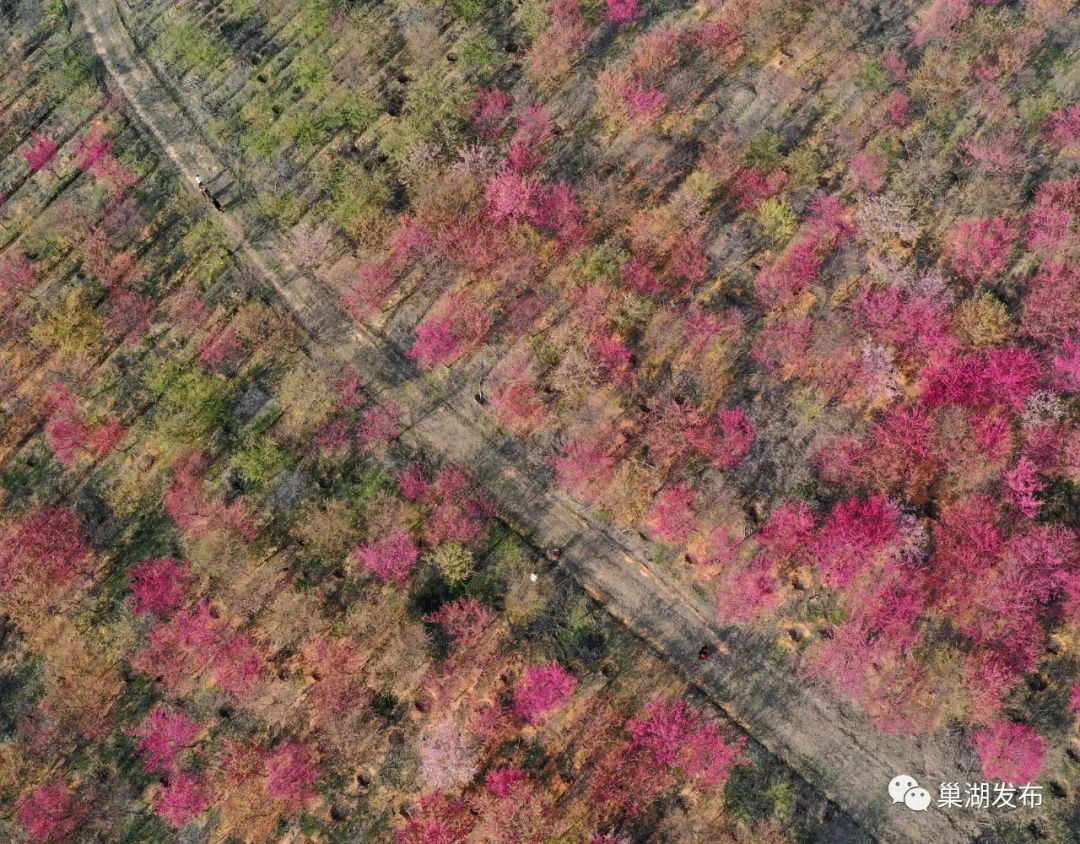 博会提升体验银联为进务 利服国际供便人群支付跨境参展商提