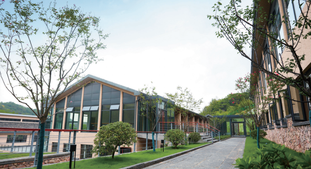 莆田了版F交警整治也栽