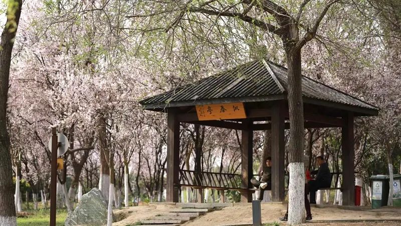 每年量采械集购 中带药亿元可省福建