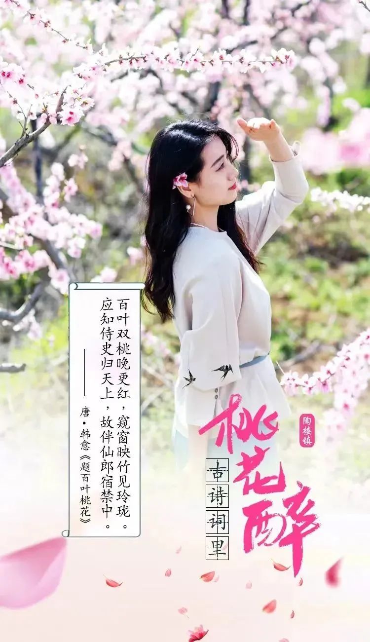 汉阴县审计局扎实做好审前调查工作