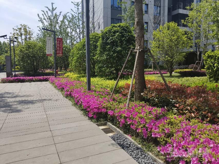 【急售江心洲南京眼叠加别墅 仁恒江湾世纪 精装修上叠带露台院子_南京建邺区仁恒江湾世纪二手房】_南京二手房网_365二手房网
