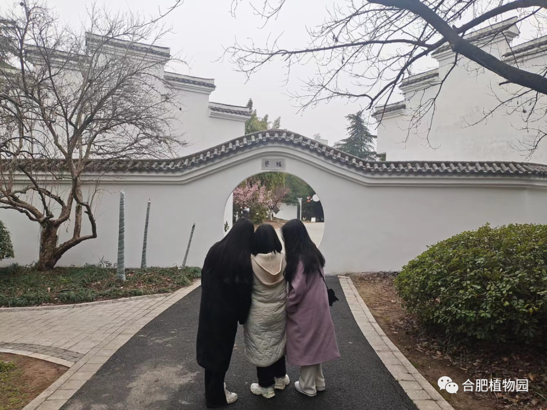 中信银行六安分行成功落地辖内首笔“资金流”平台业务助力小微企业发展