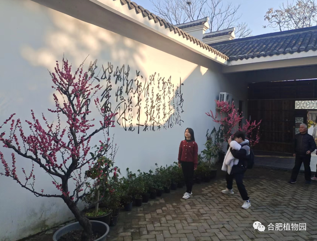 能喝到吗飙近期价格州9元咖咖啡狂期货 福啡还