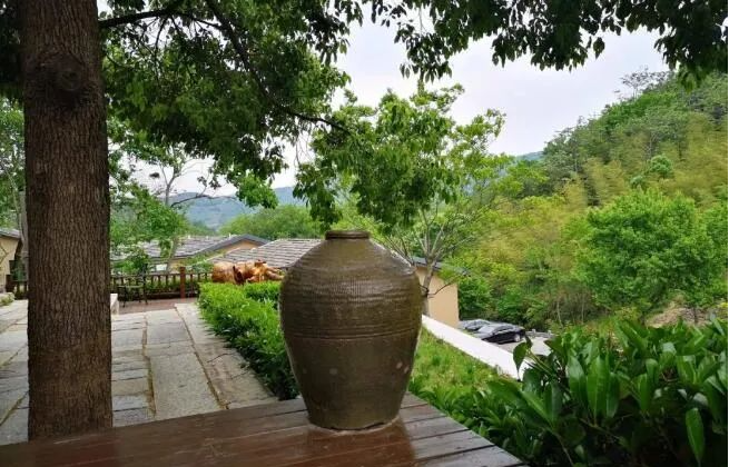 保险人寿泰康赔付9万中支淮北余元金2