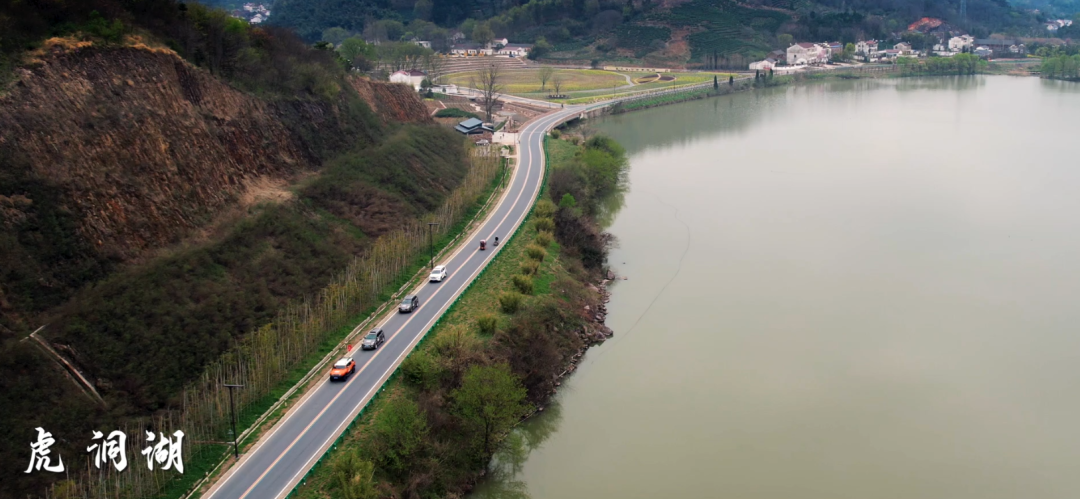人员协助行动公安机关涉案银行中信抓获断六安卡分行