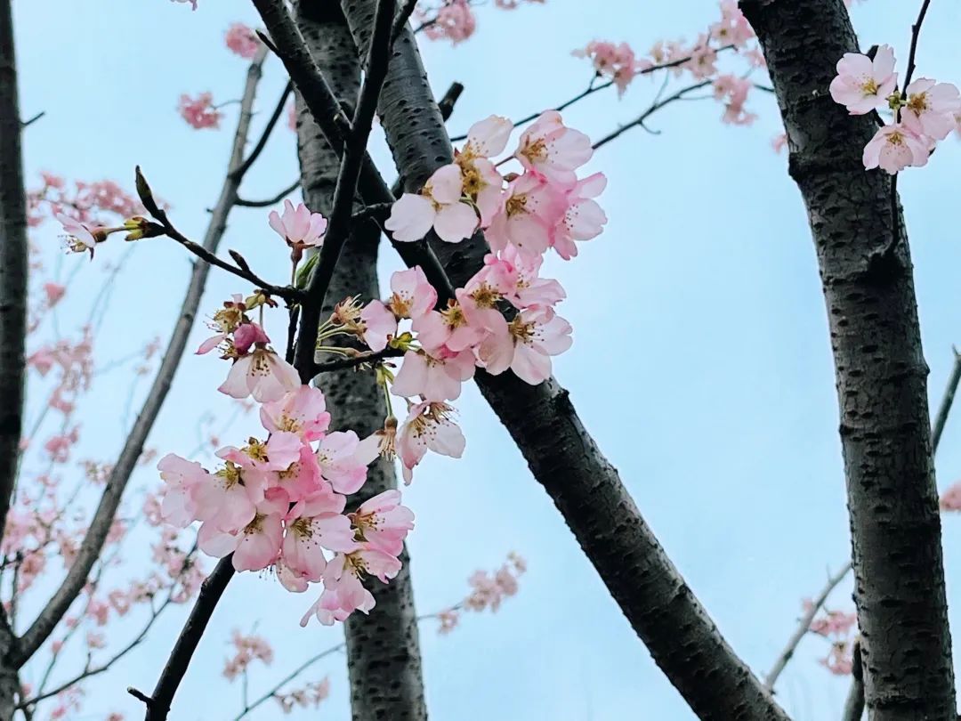 锁定中期确定性，鑫利年年助您掌控人生主动权