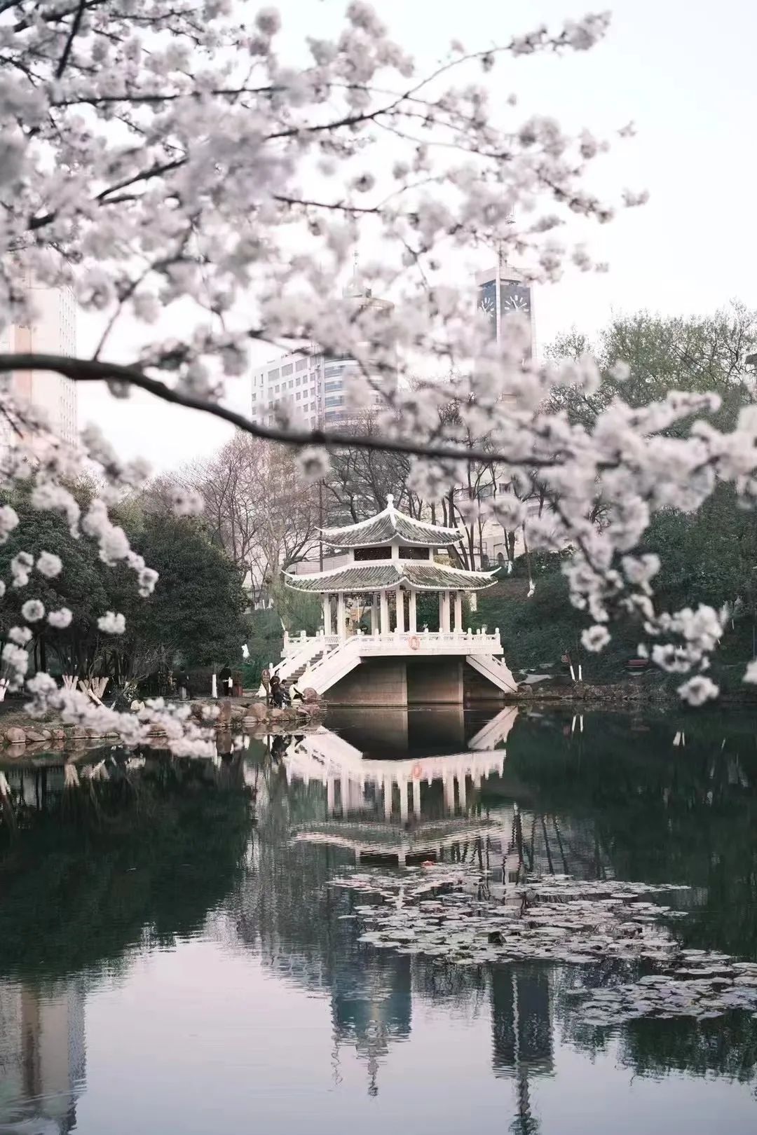 督工商马鞍行开项监展廉职专银行洁履山分