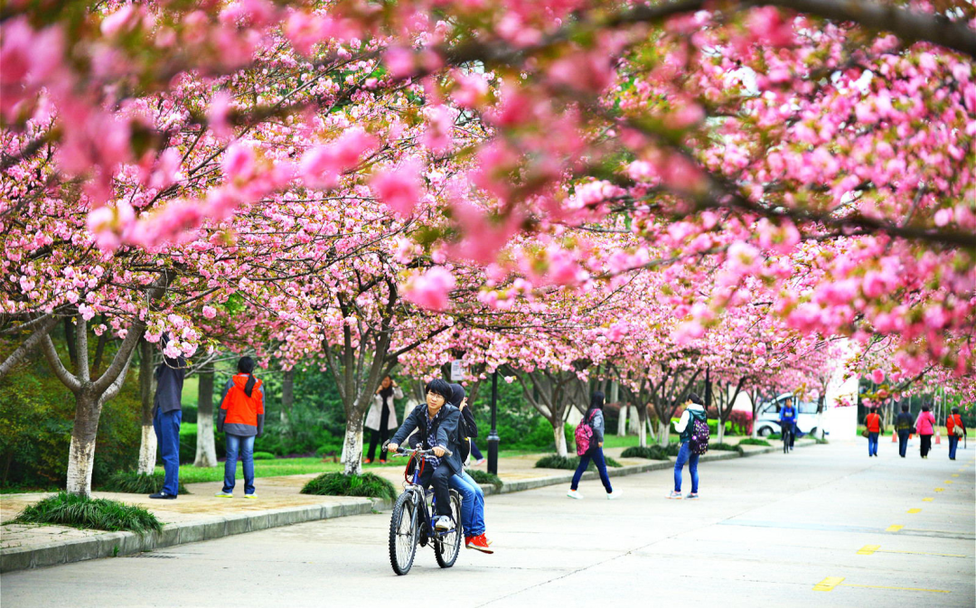 督工商马鞍行开项监展廉职专银行洁履山分