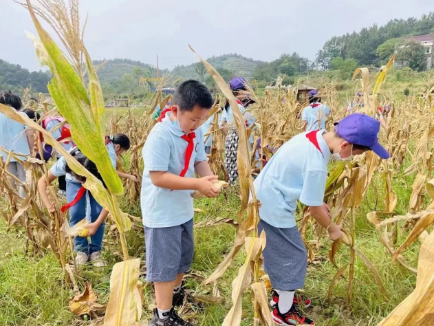妈对理孩团园您说长妈如幼儿园教育集江路子的合肥何处情绪市长