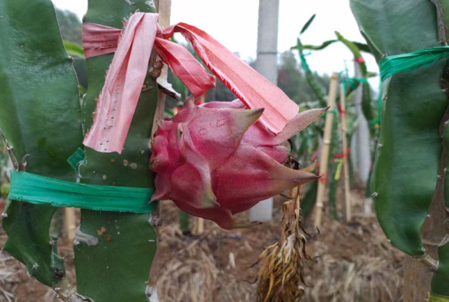 本医保个户家区使庭共统筹工基人账以跨用了济可陕西省职