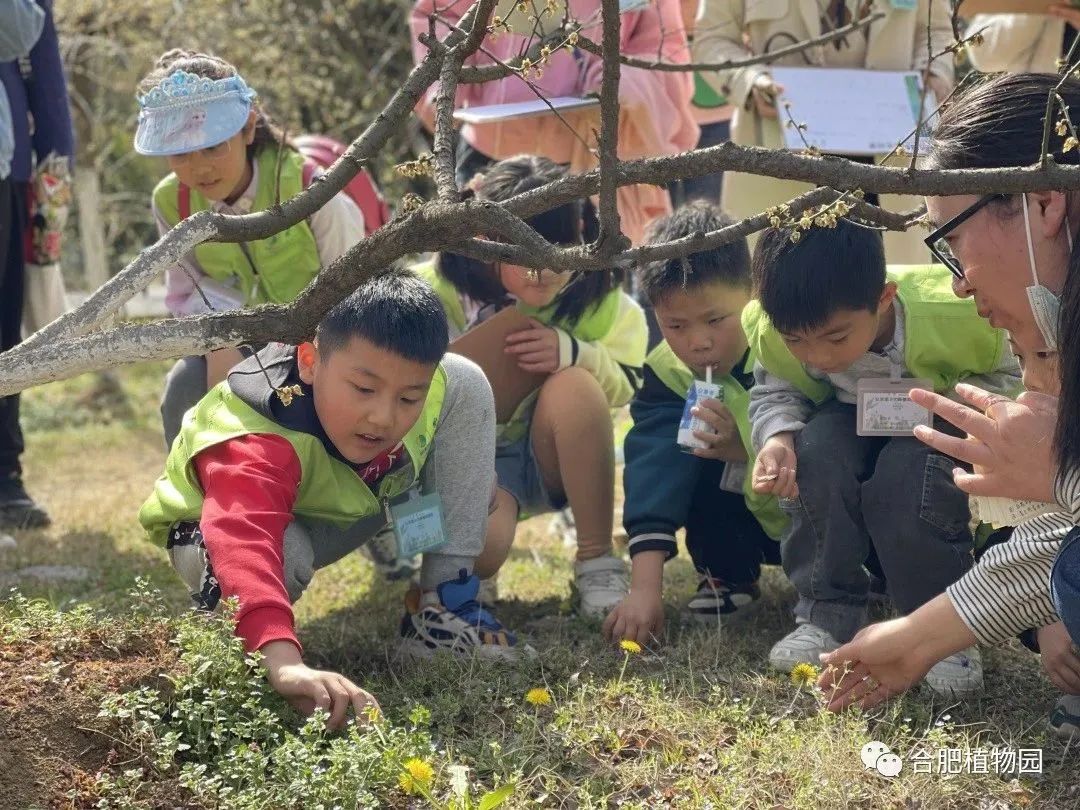 中国附加限制性条件批准邦吉收购蔚特股权案