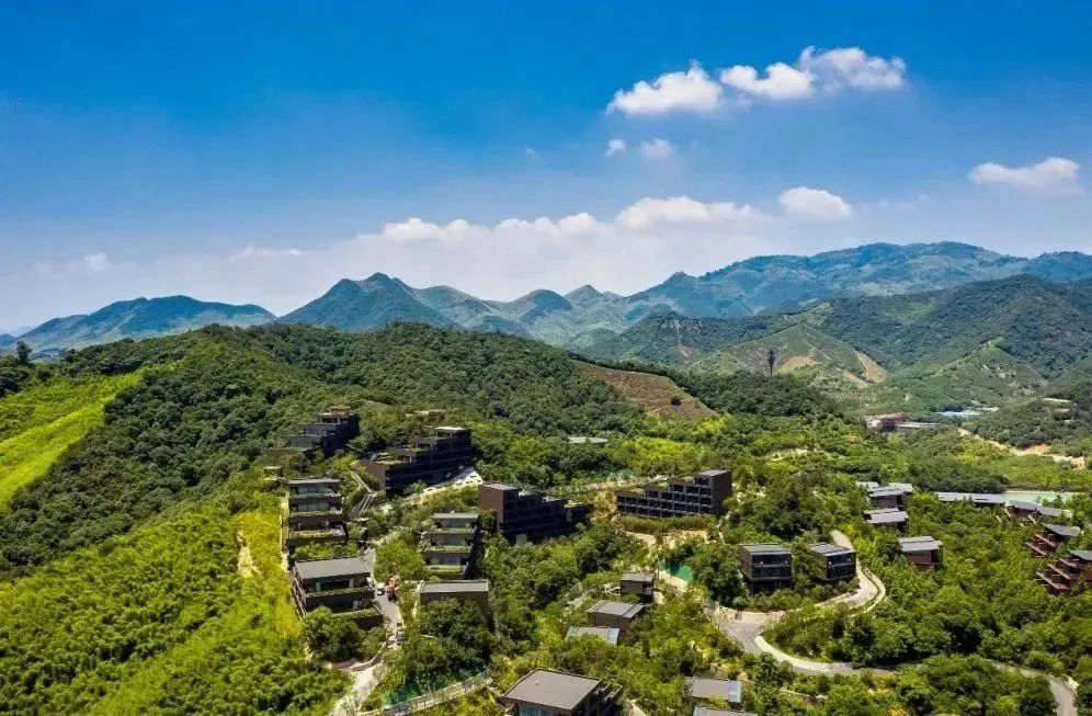 带队泰融团有刘训拜访保集行长限公合肥海副合肥中信资担银行市兴司分行