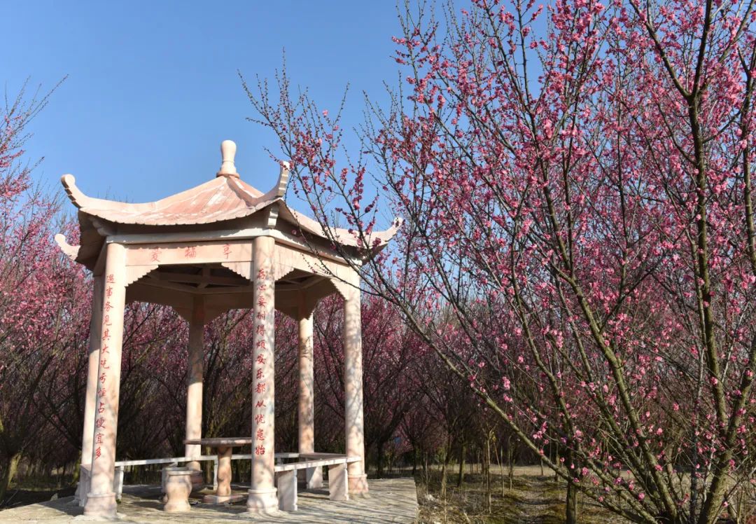 合肥市长江路幼儿园教育集团园长妈妈对您说:健康春天,快乐成长——幼儿园春季传染病预防知识