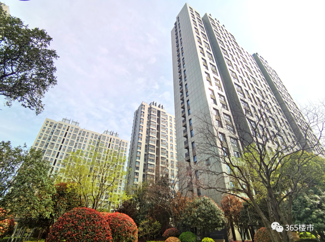 就凭春景，何止5万/㎡！南京颜值天花板小区，藏不住了-南京365淘房