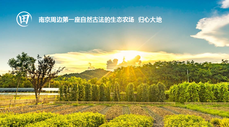 200多万起,就能买到桃李春风系产品!还是带装修交付!-南京365淘房