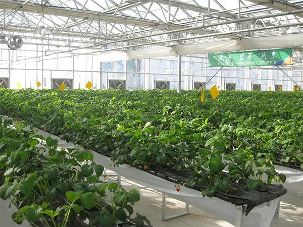 银联国际为进博会参展商提供便利服务 提升跨境人群支付体验