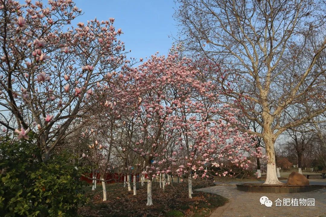 对话厦门交融 滋文明养青少年成长