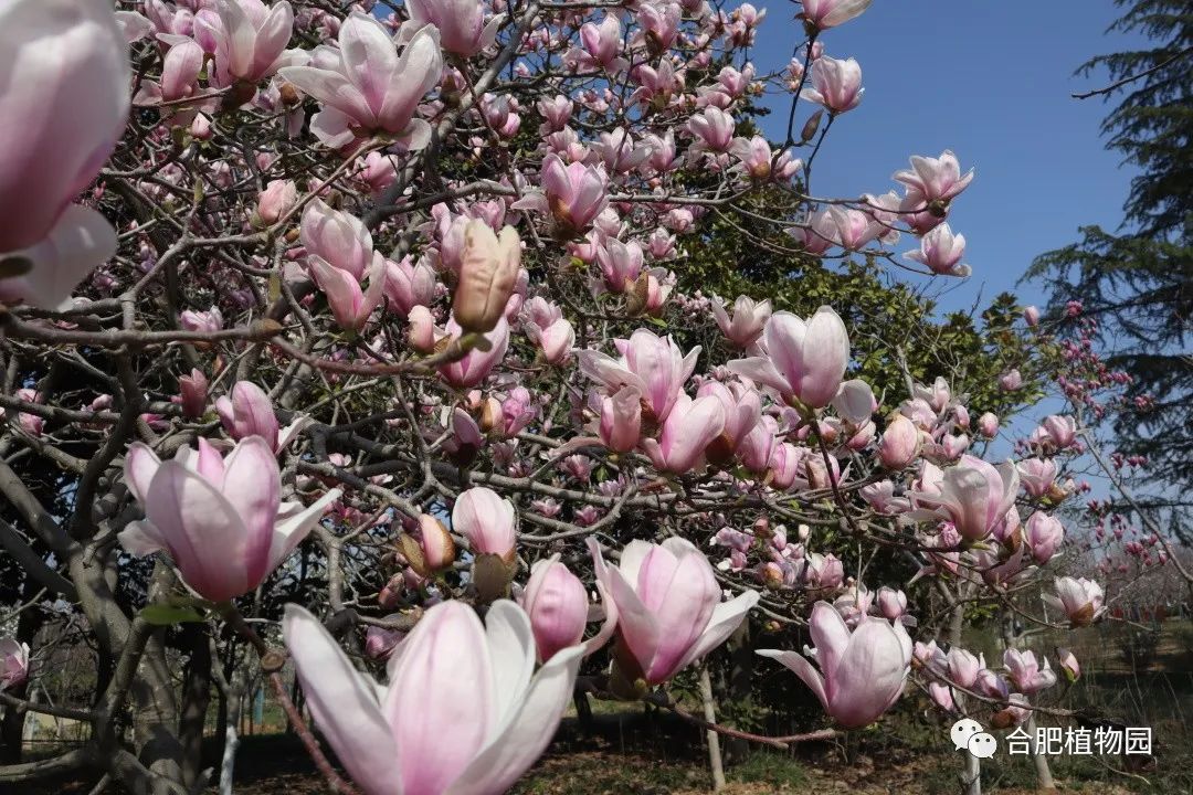 对话厦门交融 滋文明养青少年成长