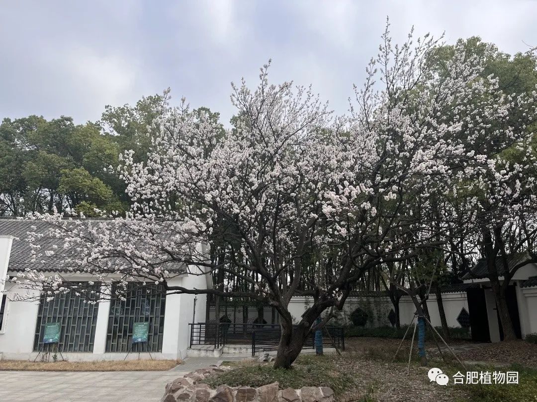 关于&ldquo;青年交友文化节活动&rdquo;延期举办通知