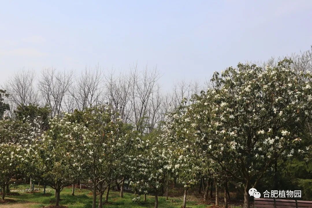 福州成功出让5幅地块 成交价款11.15亿元