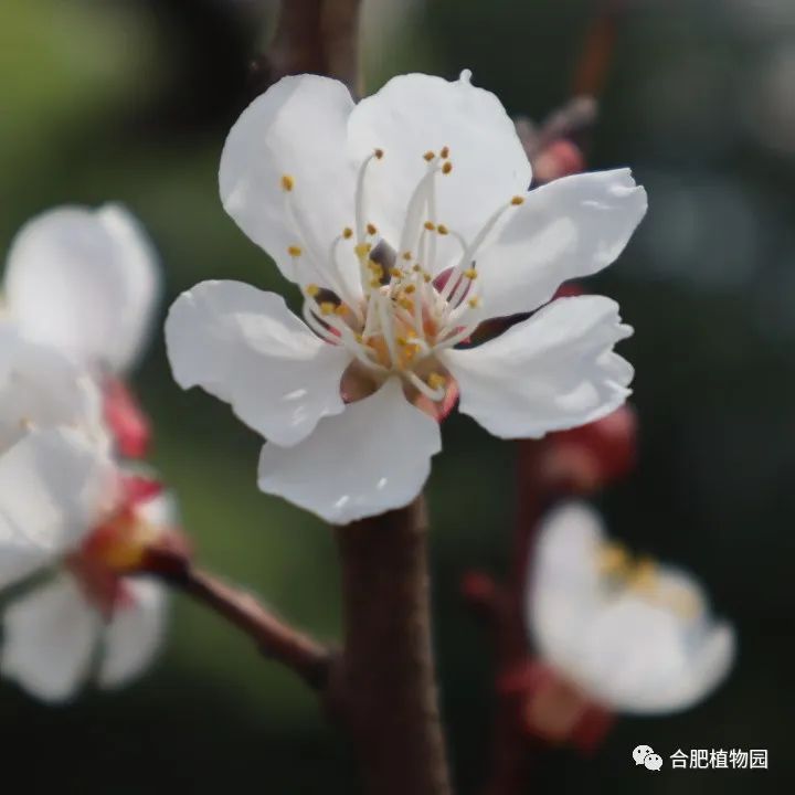 安全题教牢冬关镇线 县城季防级安汉阴 筑展班意识幼儿园开育强化启萌全主