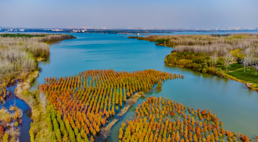 日在第二投洽 各备工厦门项准就绪会明作已十届开幕