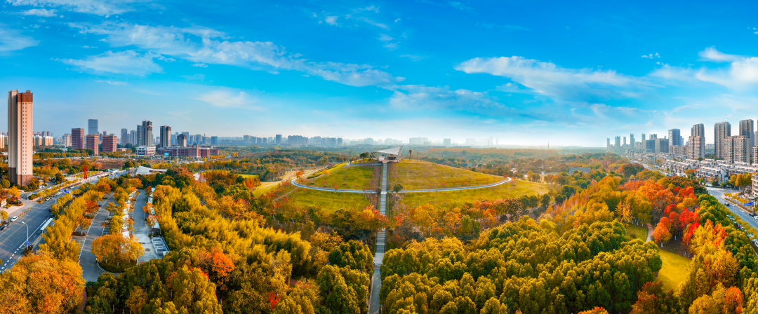 务案平安赔及时解疑人寿保障例分公访服延续安徽户回回访惑，获理司客