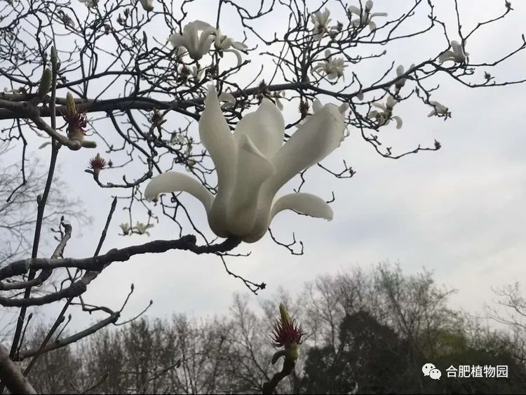 拔掉“锈钉子” 镶上“绿丝带”!兴业银行芜湖分行落地首笔EOD模式贷款助力长江岸线生态焕新