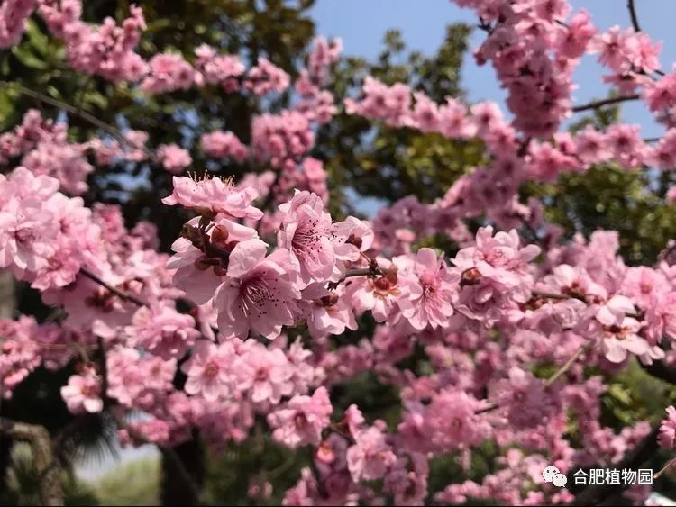 工商银行马鞍山采石支行学习核算要素在途风险事件