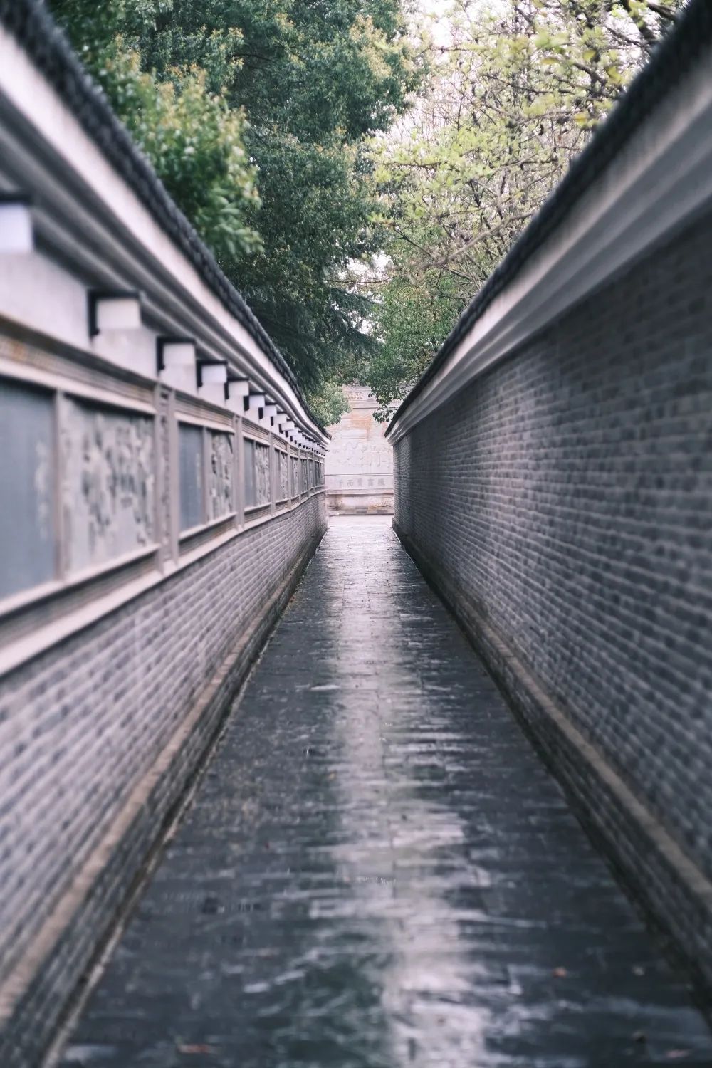 万元薪4 厦门两因经营不0余业被家企拍卖善欠