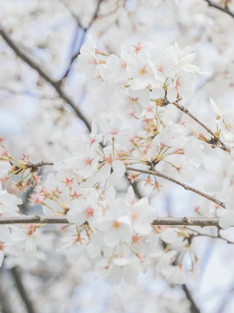 泰康人寿发布HWP十大赋能计划