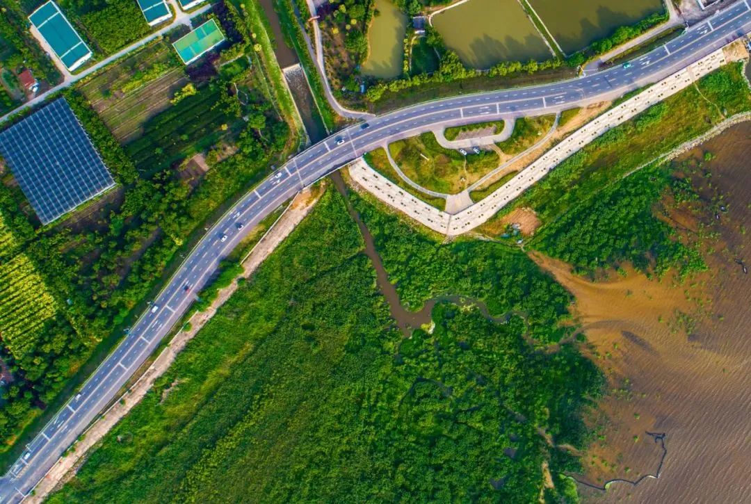 合肥发布最新通告!规范有序开放文化休闲娱乐场所