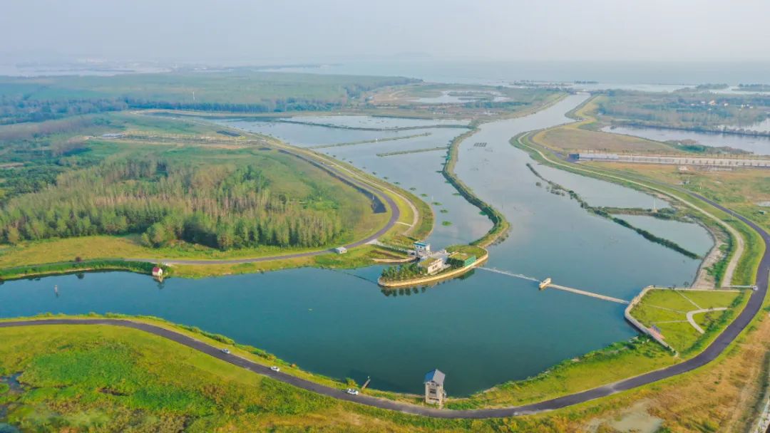 学习塞罕坝精神  植树造林绿化祖国——合肥市黄山路小学洪学智中队雏鹰小队开展植树节活动