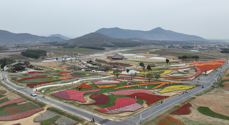 比增跨境口同厦门进出去年电商五成长超