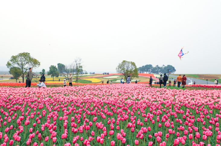 贷款票据林业落地资产质押首单生物三明全国